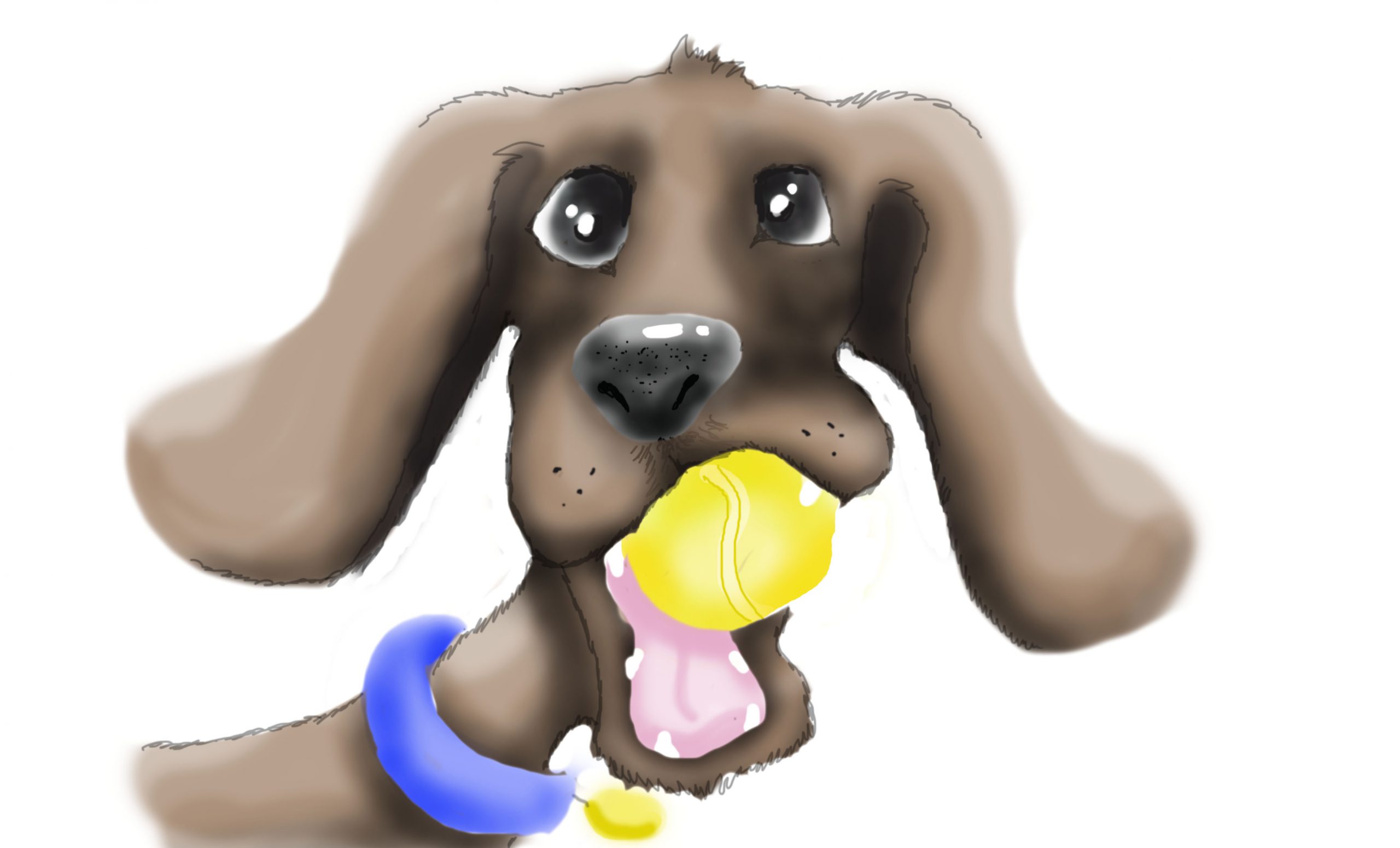 balljunkie Bibliothek: Beitrag zum Thema Ballspielen mit dem Hund